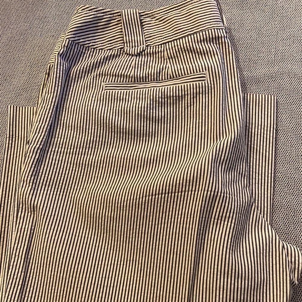 Ann Taylor Loft pants